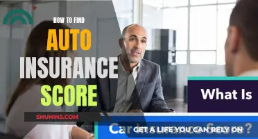 Understanding Auto Insurance Scores: A Guide to Finding Yours