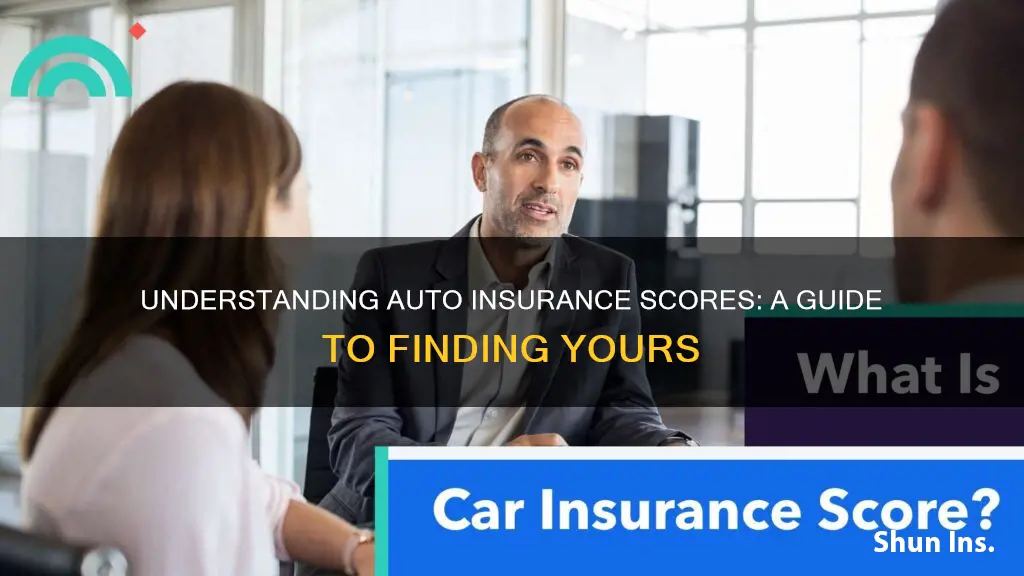 how to find auto insurance score