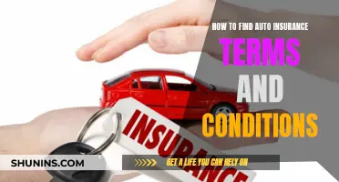 Understanding Auto Insurance: Terms and Conditions Explained