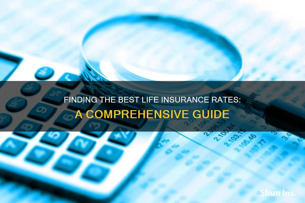 how to find best life insurance rates