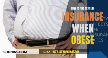 Finding Life Insurance: Best Options for the Obese