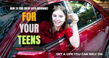 Finding Affordable Auto Insurance for Your Teen Driver