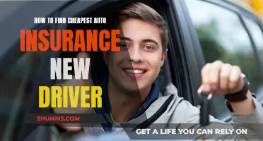 Finding Affordable Auto Insurance as a New Driver