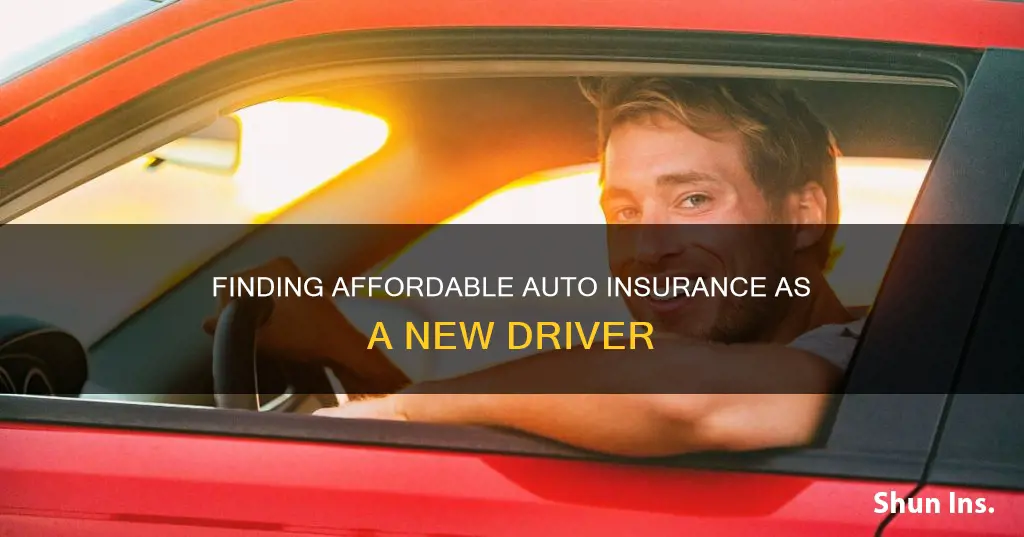 how to find cheapest auto insurance new driver