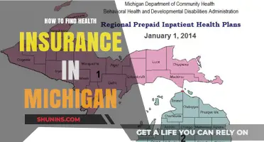 Navigating Health Insurance Options in Michigan: A Comprehensive Guide
