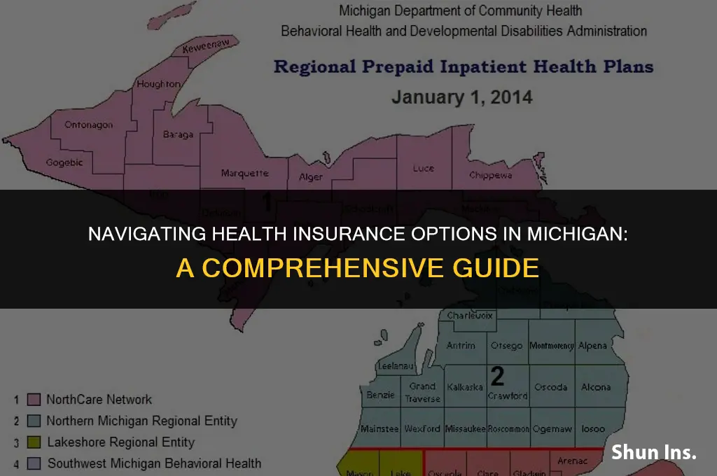 how to find health insurance in michigan