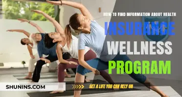 Exploring Health Insurance Wellness Programs: A Comprehensive Guide
