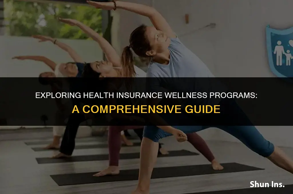 how to find information about health insurance wellness program
