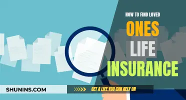 Finding Life Insurance: A Loved One's Legacy and Security