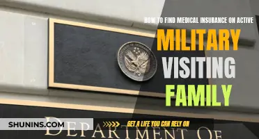Finding Medical Insurance for Active Military on Family Visits