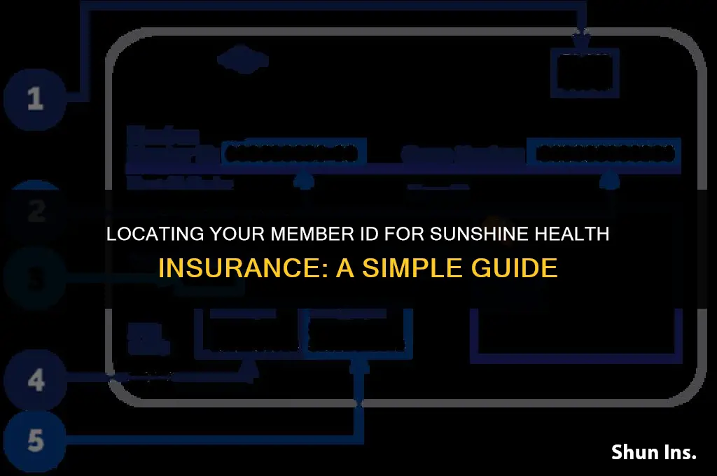how to find member id for sunshine health insurance