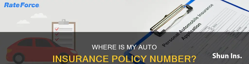 how to find my auto insurance policy number