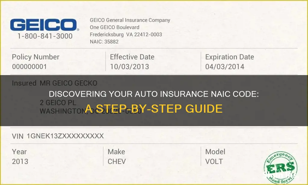 how to find naic code number for auto insurance