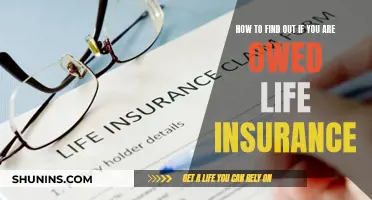 Unclaimed Life Insurance: How to Check for Benefits