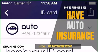 Do You Have Auto Insurance? How to Verify Your Coverage