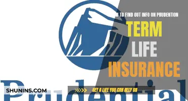 Prudential Term Life Insurance: Digging for Policy Details