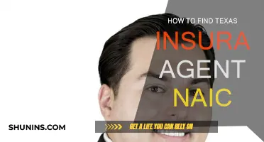 Finding a Texas Insurance Agent: NAIC Search Tips