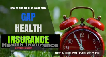 Navigating Your Options: Finding the Best Short-Term Gap Health Insurance