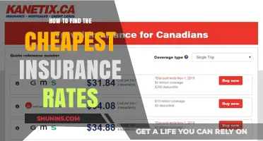 Finding Affordable Insurance: Tips to Save Money