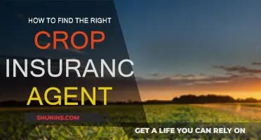 Finding the Best Crop Insurance Agent for You