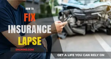 Quick Steps to Resolve and Prevent an Insurance Lapse