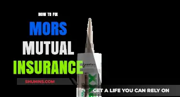 Fixing Mors Mutual Insurance: Step-by-Step Guide to Resolve Common Issues