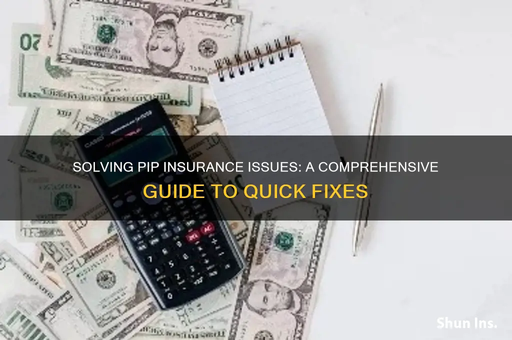 how to fix the pip insurance problem