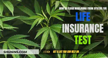 Flushing Marijuana from Your System for Life Insurance Tests