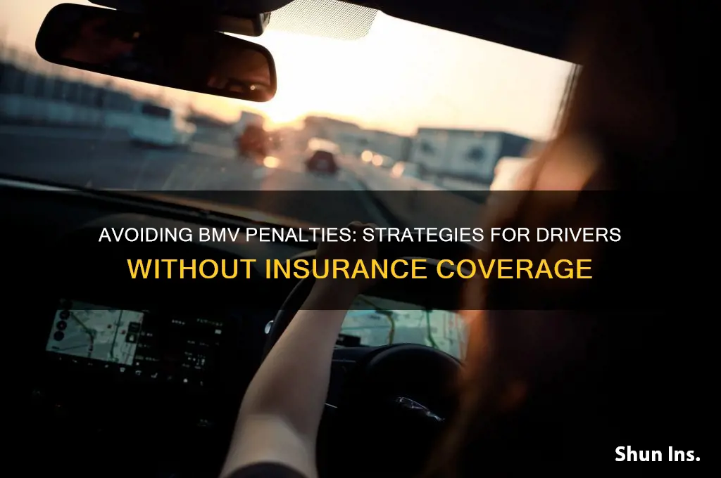 how to fool the bmv no insurance