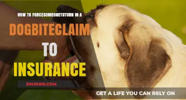 How to Force Someone to File a Dog Bite Claim with Insurance