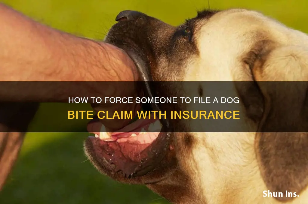 how to forcesomeonetoturn in a dogbiteclaim to insurance