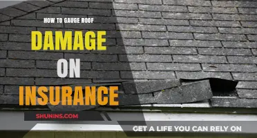 Assessing Roof Damage: A Comprehensive Guide for Insurance Claims