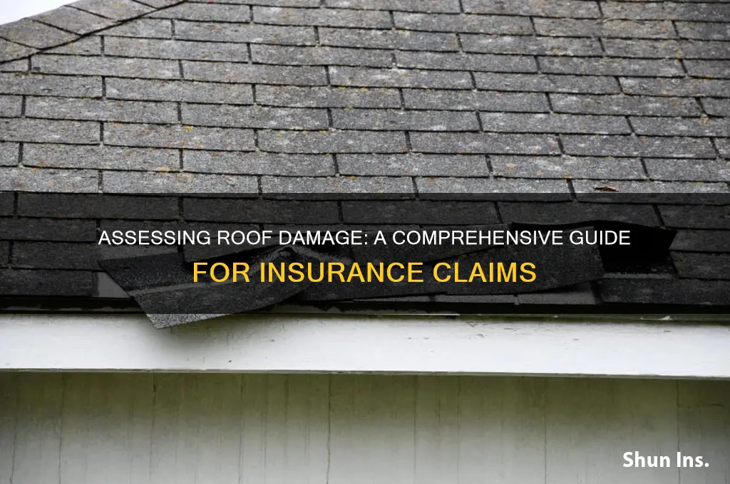 how to gauge roof damage on insurance