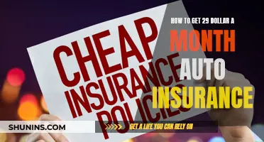 Cheap Auto Insurance: 29 Dollar Monthly Plans