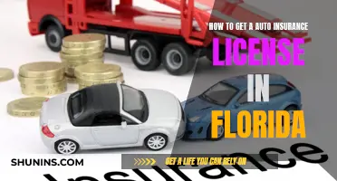 Get Your Florida Auto Insurance License: A Guide