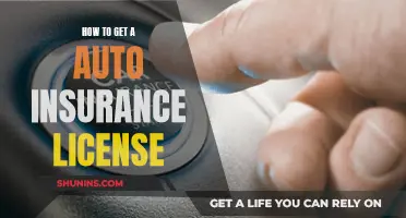 Getting an Auto Insurance License: Steps to Success