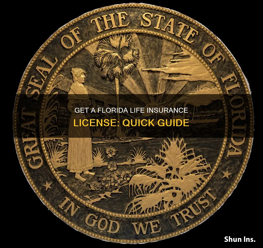 how to get a florida license in life insurance