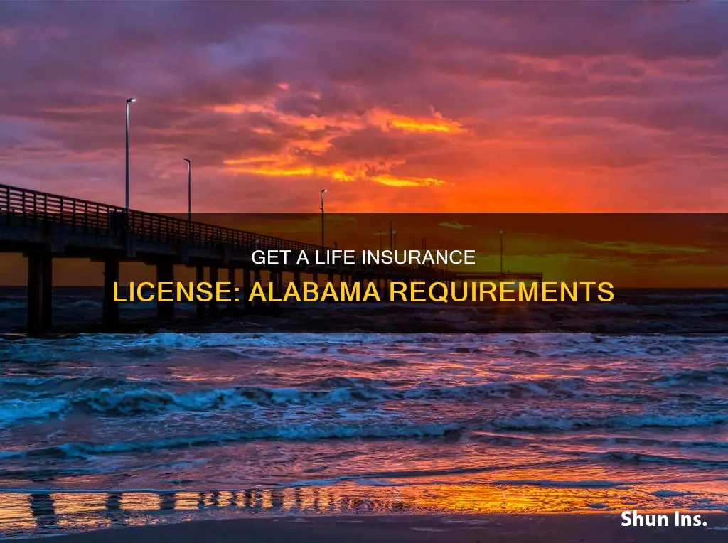 how to get a life insurance license in alabama