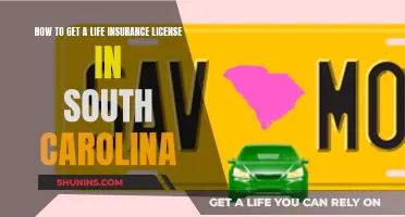 Get a Life Insurance License: South Carolina Requirements