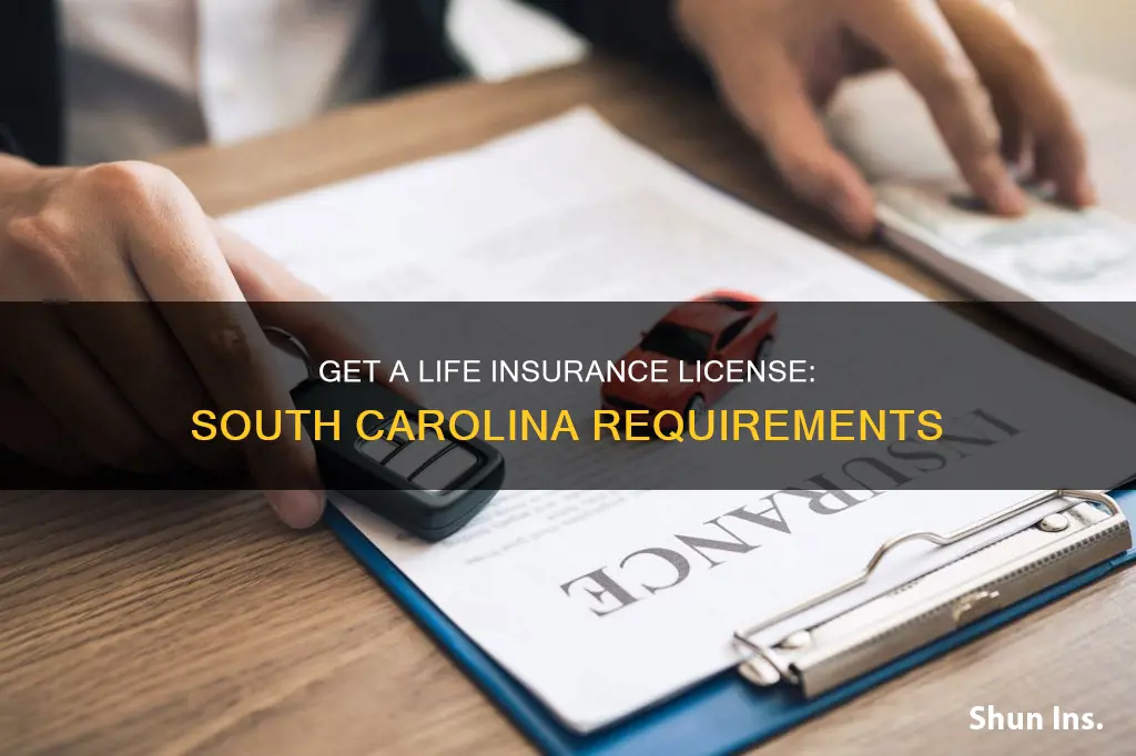 how to get a life insurance license in South Carolina