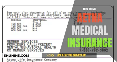 Get Covered: Aetna Medical Insurance Application Process