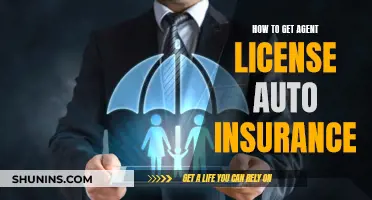 Get an Agent License: Auto Insurance Guide