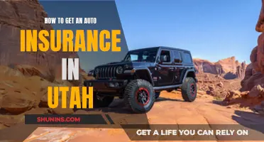 Utah Auto Insurance: Getting Covered in the Beehive State