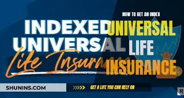 Universal Life Insurance: Indexing for a Secure Future