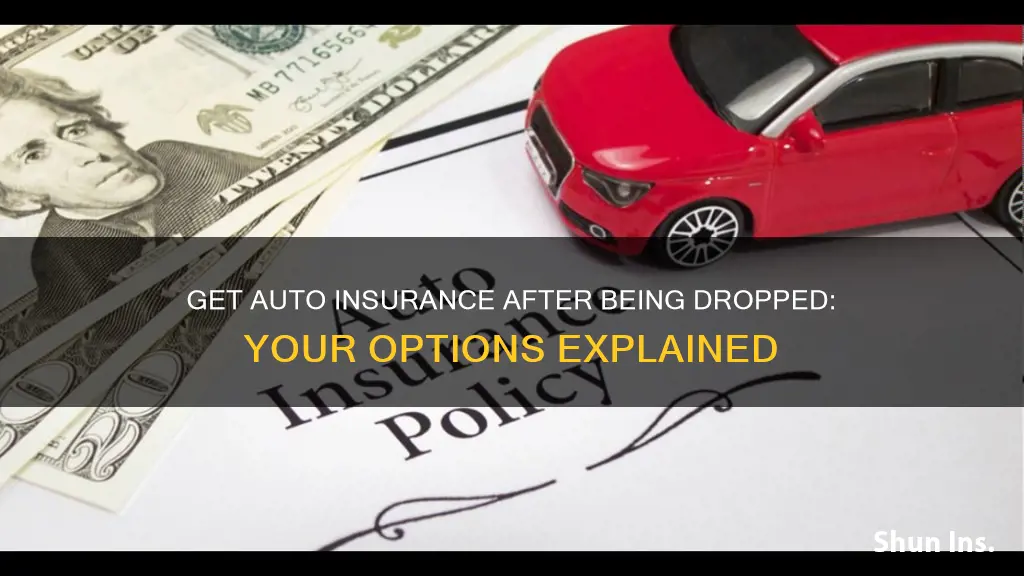 how to get auto insurance after being dropped