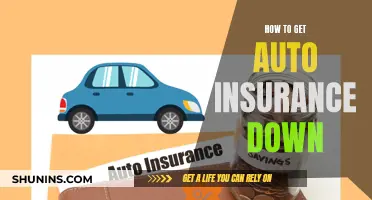 Lower Auto Insurance Premiums: Tips and Tricks