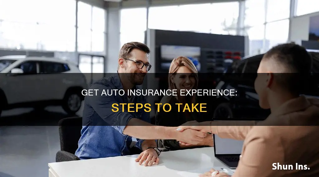 how to get auto insurance experience