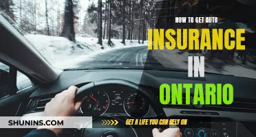 Get Auto Insurance in Ontario: A Step-by-Step Guide