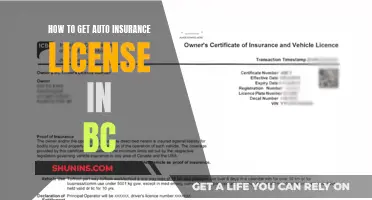 Get Your Auto Insurance License in BC: A Guide