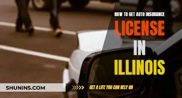 Get Your Illinois Auto Insurance License: Steps to Success